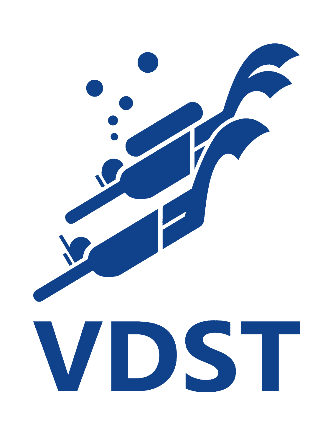 Logo VDST
